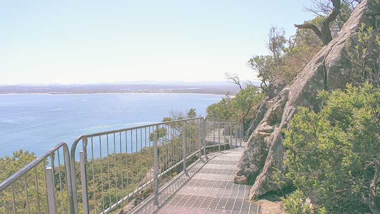 tomaree mountain paths