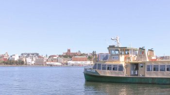 Read more about the article 優雅にフェリーでストックトンへ