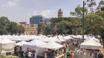 Read more about the article オリーブツリーマーケット