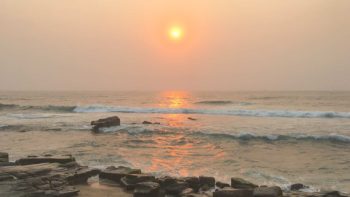 Read more about the article オーストラリアの山火事に備える