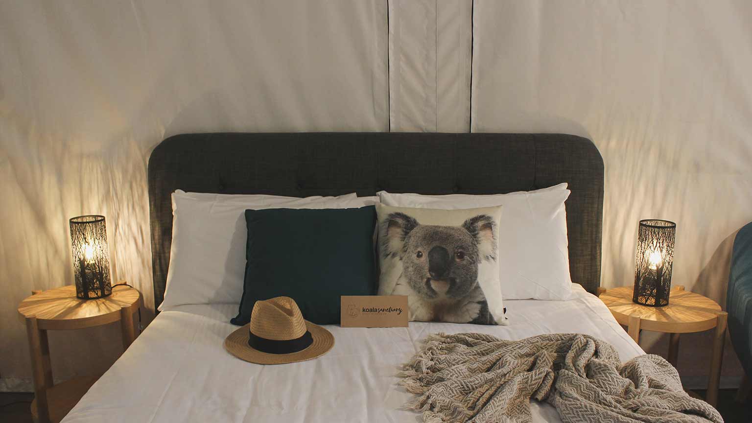 Read more about the article 【ポートスティーブンズ】コアラ サンクチュアリ