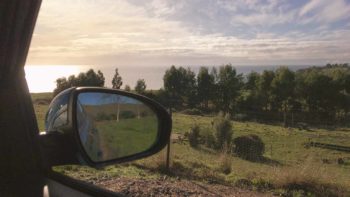 Read more about the article 【NSW州】オーストラリアで運転する：免許事情