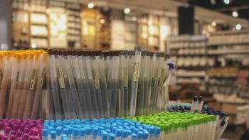 Read more about the article 【オーストラリアで学生生活】今すぐ実践したい生活費節約術１０選