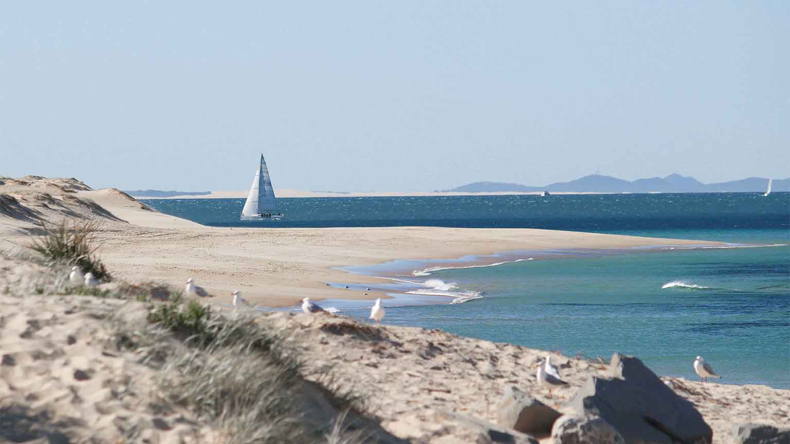 Read more about the article 【ホエールウォッチング】ニューカッスルの高台ベストスポット５選