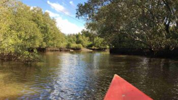 Read more about the article ハンターウェットランド センター